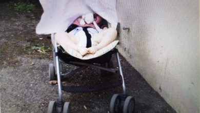 Photo of Užas u Pančevu ukradena  kolica od bebe