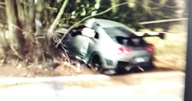 Photo of Nissan GT-R završava trku protiv drveta